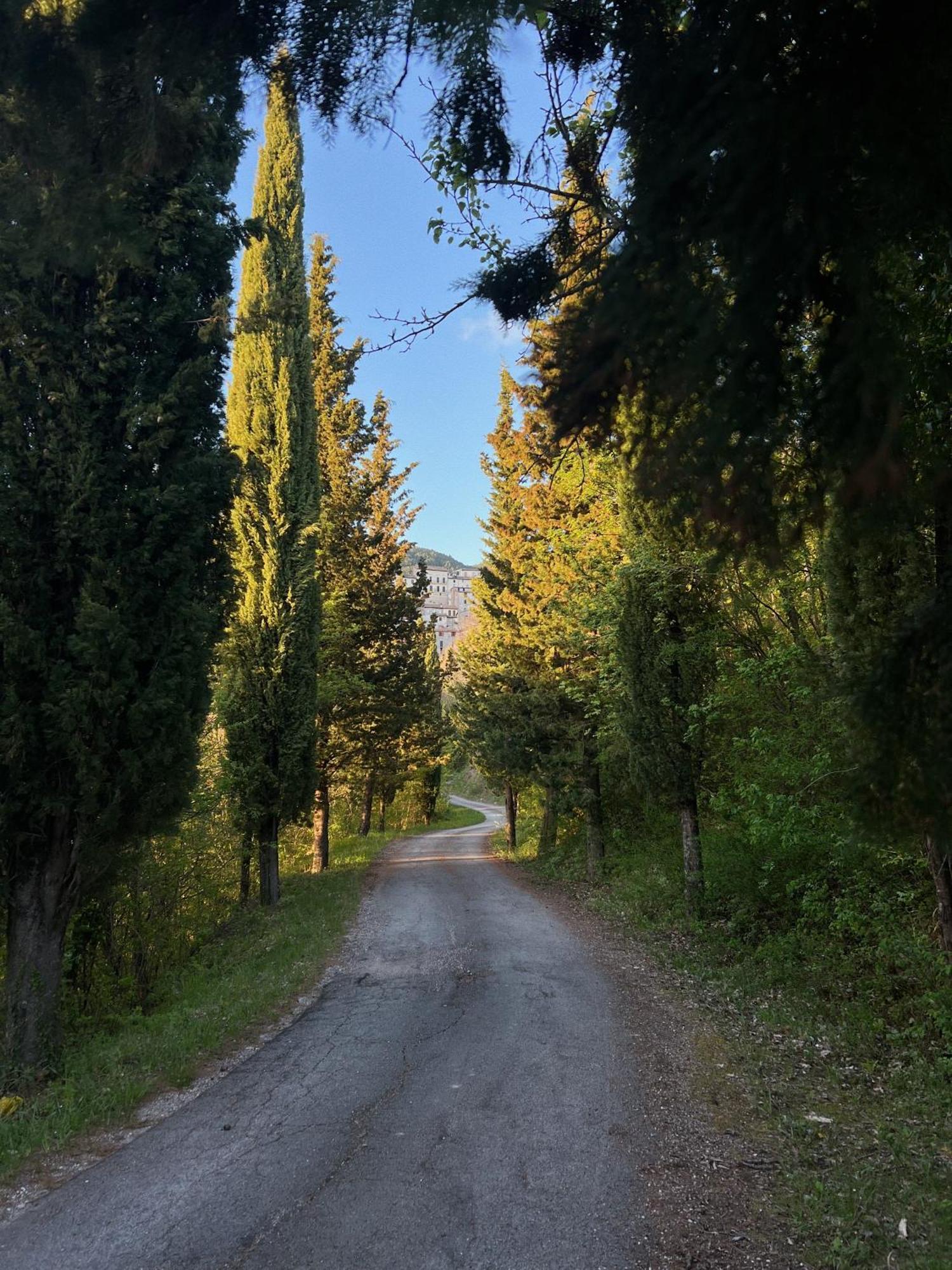 Farm stay Fattoria Del Borgo In Sabina Rieti