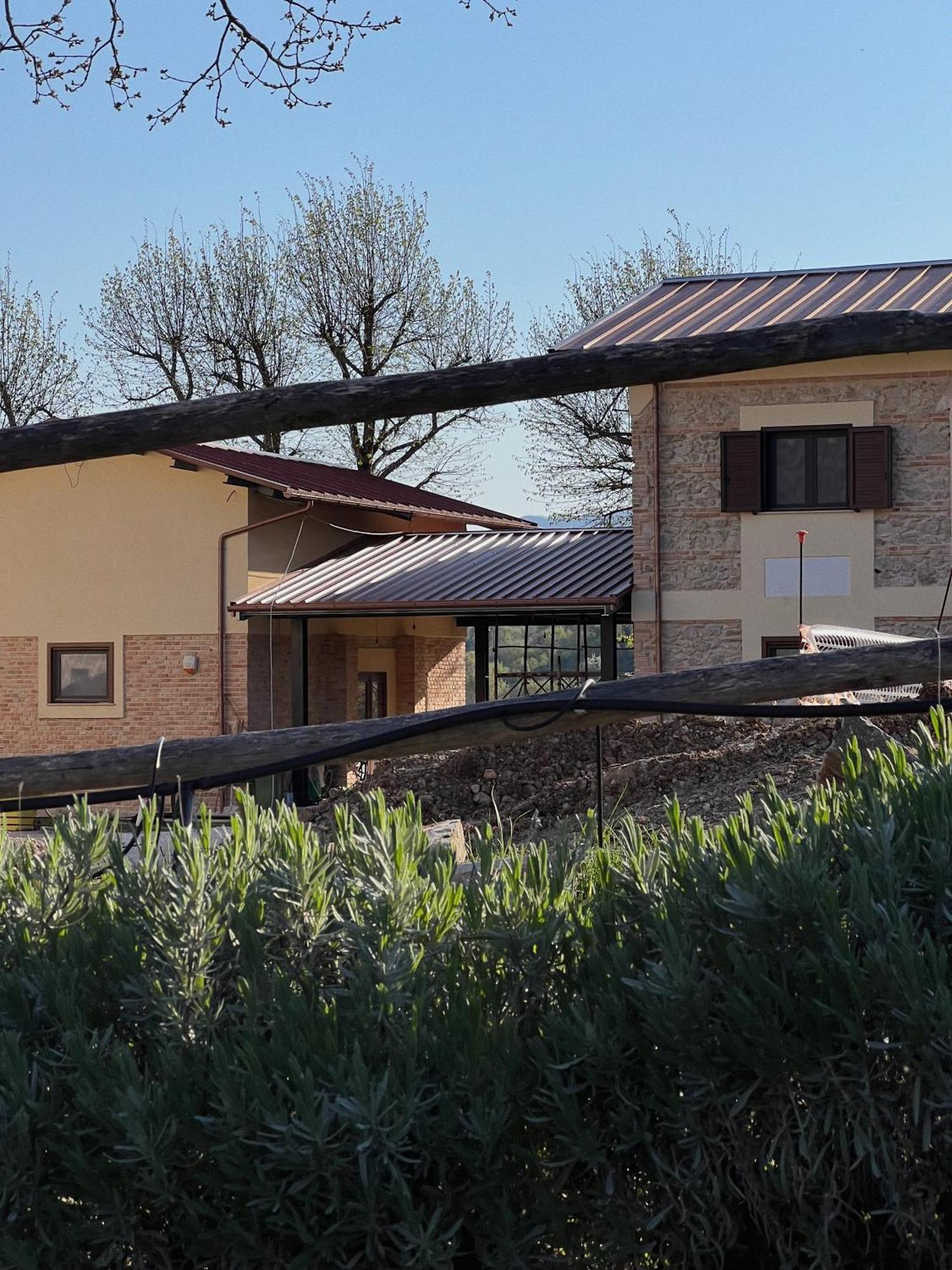 Farm stay Fattoria Del Borgo In Sabina *