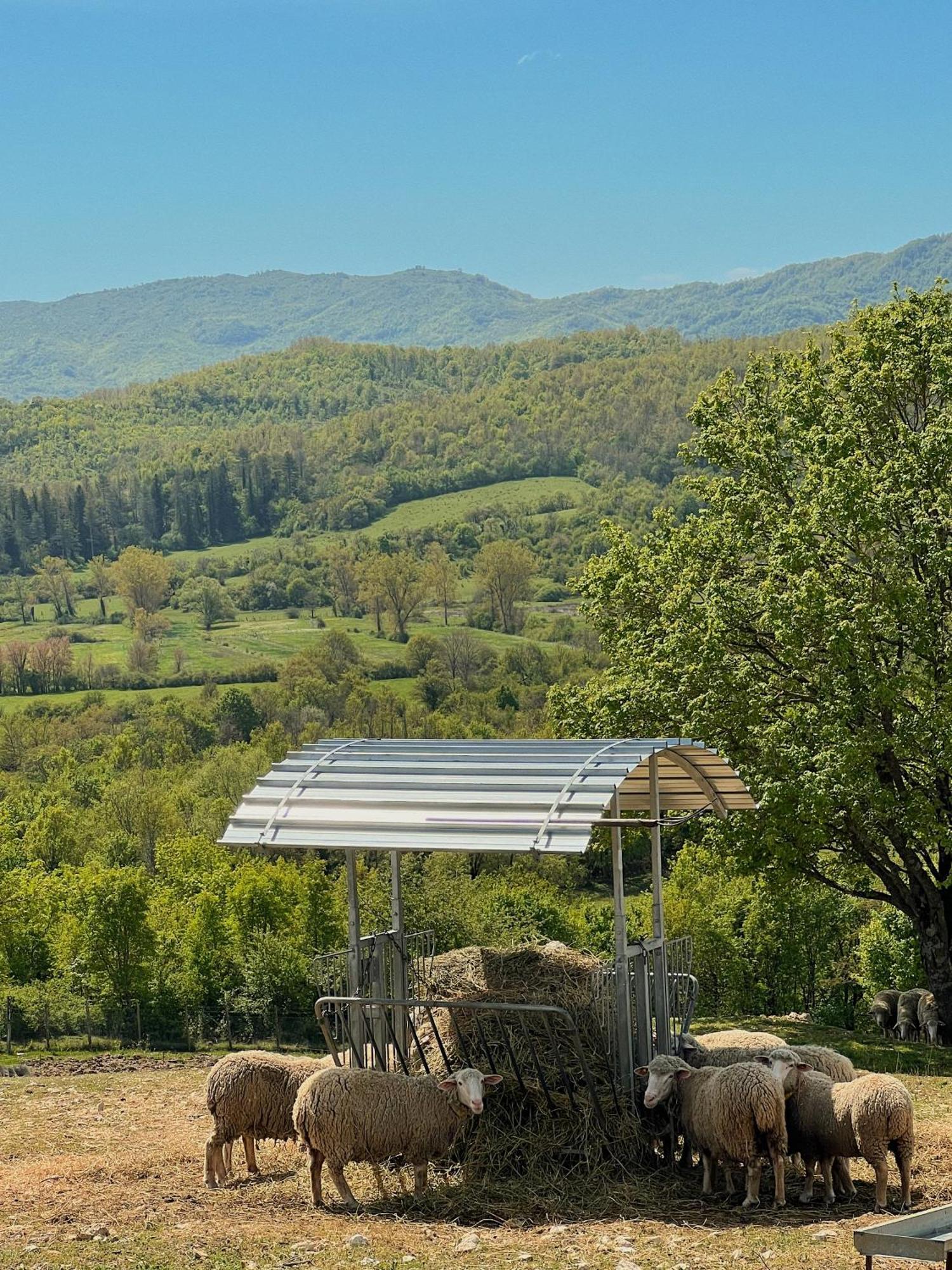 Farm stay Fattoria Del Borgo In Sabina