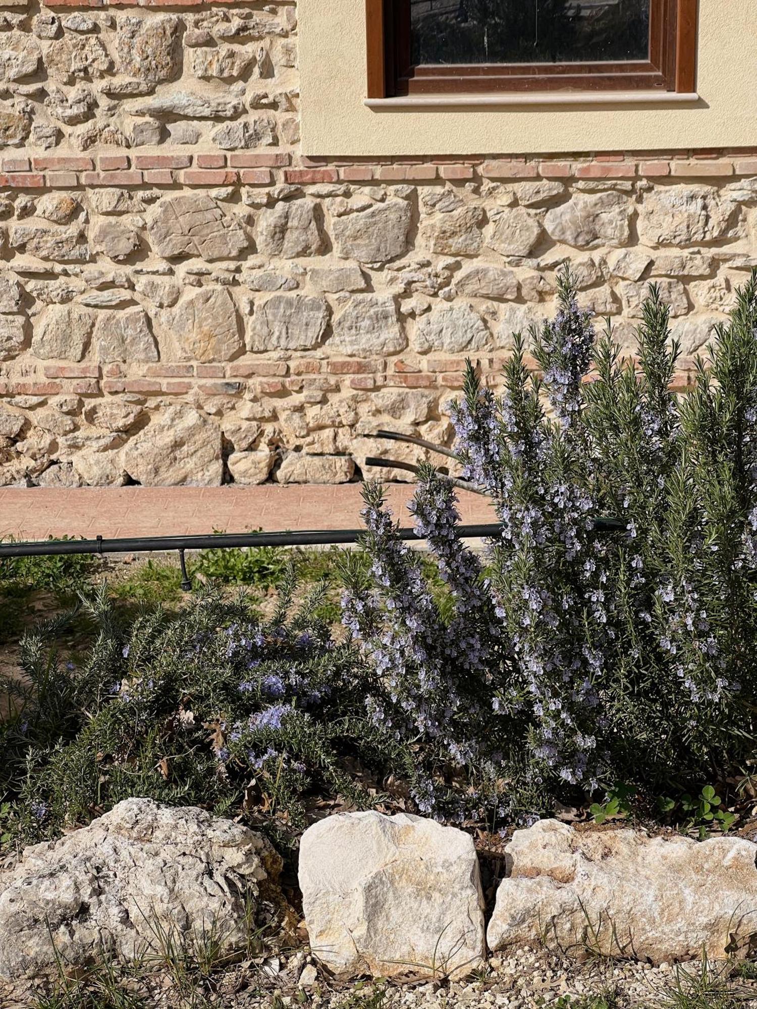 Fattoria Del Borgo In Sabina *