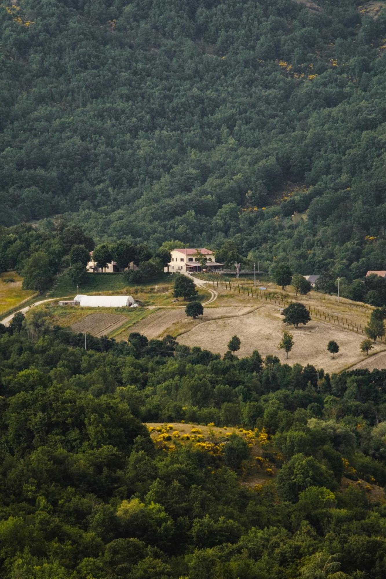 Fattoria Del Borgo In Sabina *